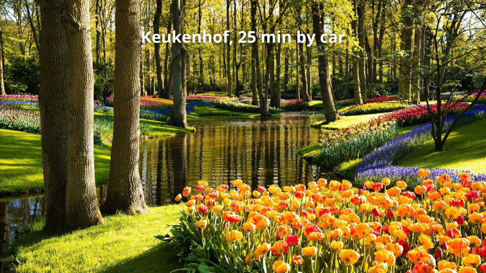 Boutique Hotel Herbergh Amsterdam Airport Free Parking Badhoevedorp Esterno foto